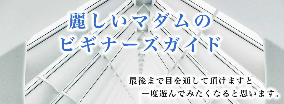 麗しいマダムのビギナーズガイド